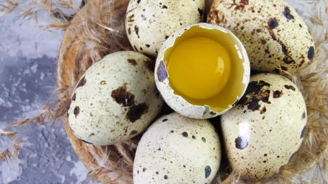 Ученые сравнили пищевую ценность куриных и перепелиных яиц