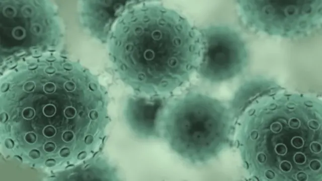 В США зафиксировали первую смерть от нового вируса Alaskapox