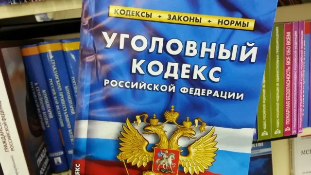 Депутат Госдумы предложил добавить в Уголовный кодекс России новую статью