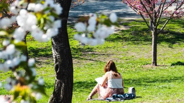 Избавьтесь от грусти: 3 причины, почему весной возникает апатия