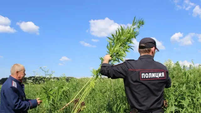 Начальника пожарной части обвиняют в производстве и распространении наркотиков