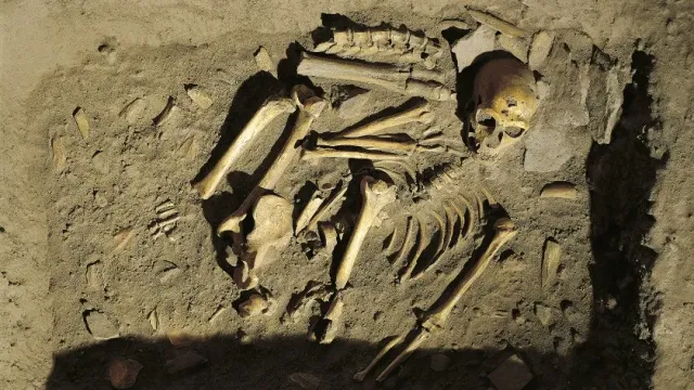 Англо-ирландский геолог Уильям Кинг не считает неандертальцев отдельным видом