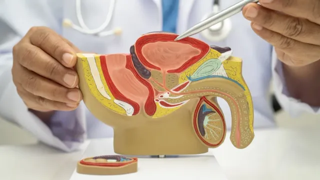 Врачи рассказали, как часто нужно эякулировать для предотвращения рака простаты