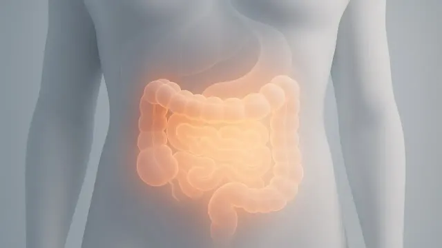 Назван орган, который отвечает за старение мозга у пожилых