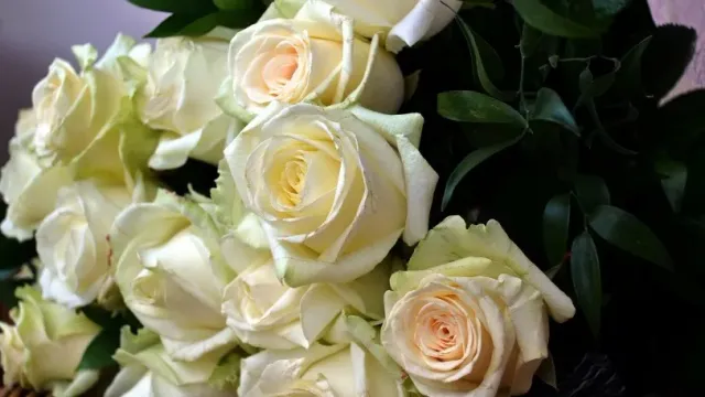 Клава Кока получила букет белых роз от поклонника и решила ему позвонить