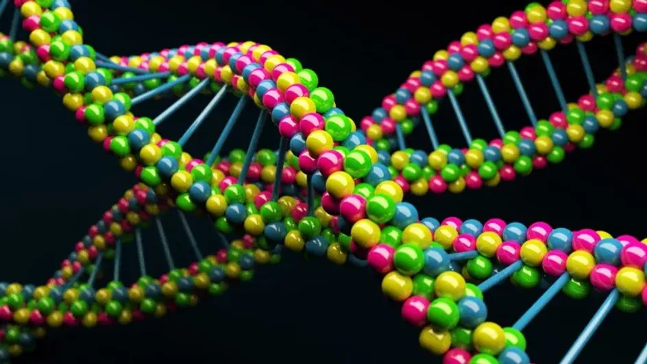 Ученые обнаружили, что употребление каннабиса связано с изменениями ДНК
