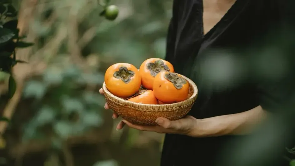 Названы продукты с самым высоким содержанием железа