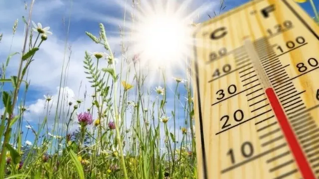 AP: 5 июля 2023 может стать новым самым жарким днем на Земле за всю историю наблюдений
