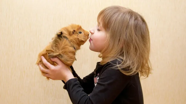 Стало известно, какие домашние питомцы снижают стресс у детей