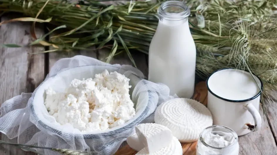Врач рассказала, в чем недостаток обезжиренных молочных продуктов