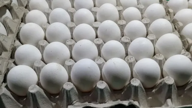 Импортные куриные яйца не доехали до полок супермаркетов