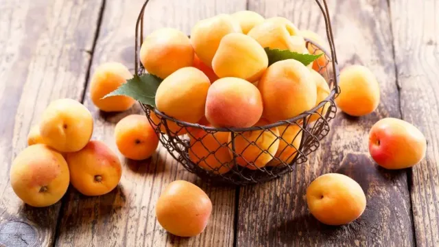 Врач Хачирова: абрикосы полезны для сердца, но их потребление должно быть умеренным
