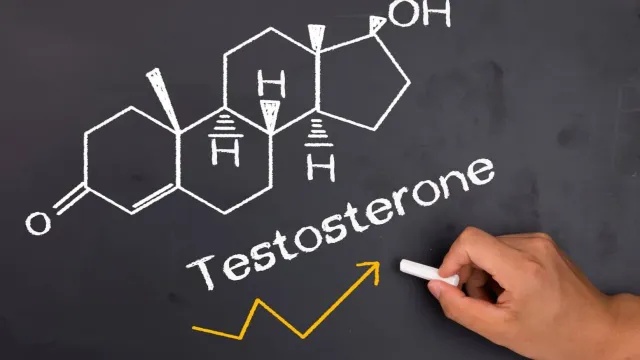 Терапевт назвала мужчинам симптомы, по которым можно выявить проблему с тестостероном
