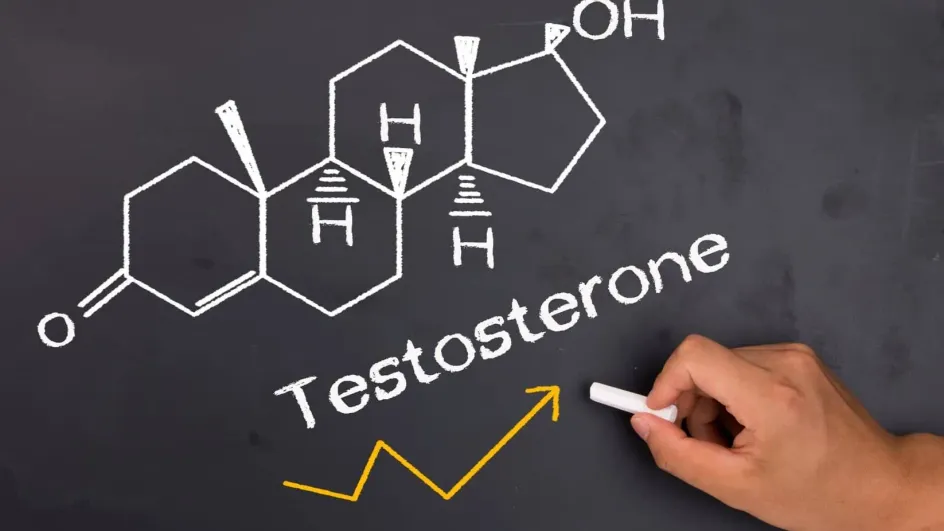 Терапевт назвала мужчинам симптомы, по которым можно выявить проблему с тестостероном