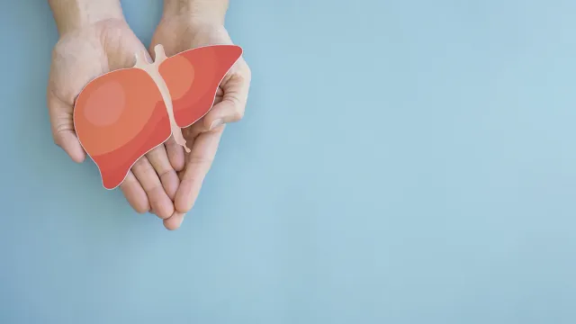 Названы два фактора, которые негативно влияют на печень