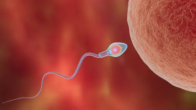 PRX Life: Пластичные сперматозоиды нарушают третий закон Ньютона ради зачатия