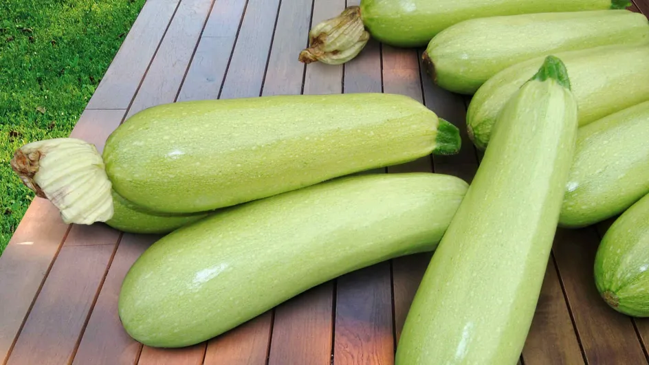 Нутрициолог назвала суперфуд для здоровья сосудов и кожи