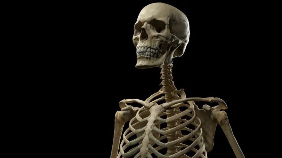 В московской квартире нашли скелет мужчины, пролежавший в ней полгода