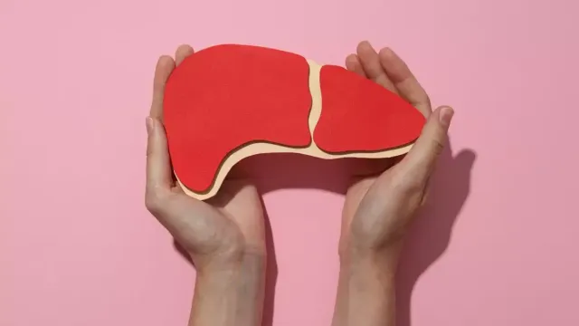 Врач рассказала, как качество сна связано со здоровьем печени