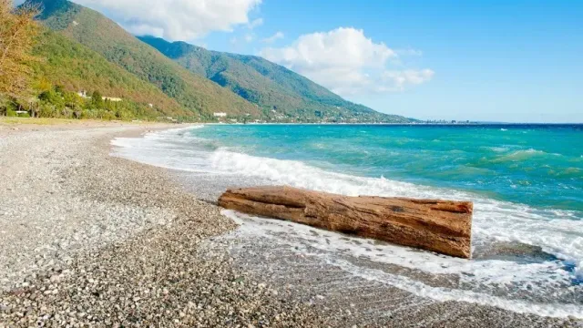 АТОР: Самый дешевый пляжный отдых ждет российских туристов в Абхазии, Сочи и Геленджике