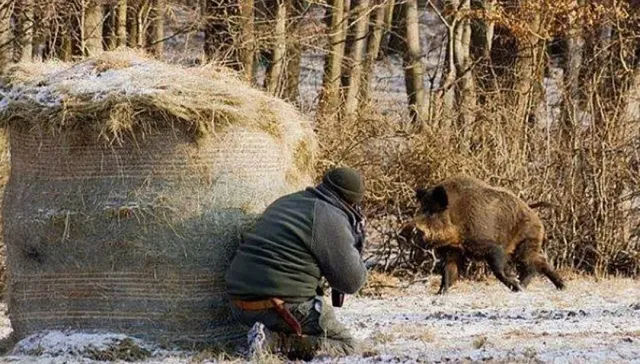 Baza: префект ЦАО Москвы застрелил егеря во время охоты на кабана в Смоленской области