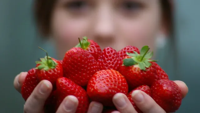 Врач рассказала, безопасно ли есть раннюю клубнику