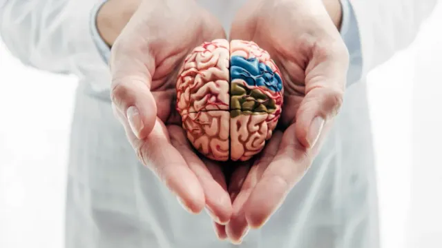 Ученый рассказал, как место проживания влияет на старение мозга