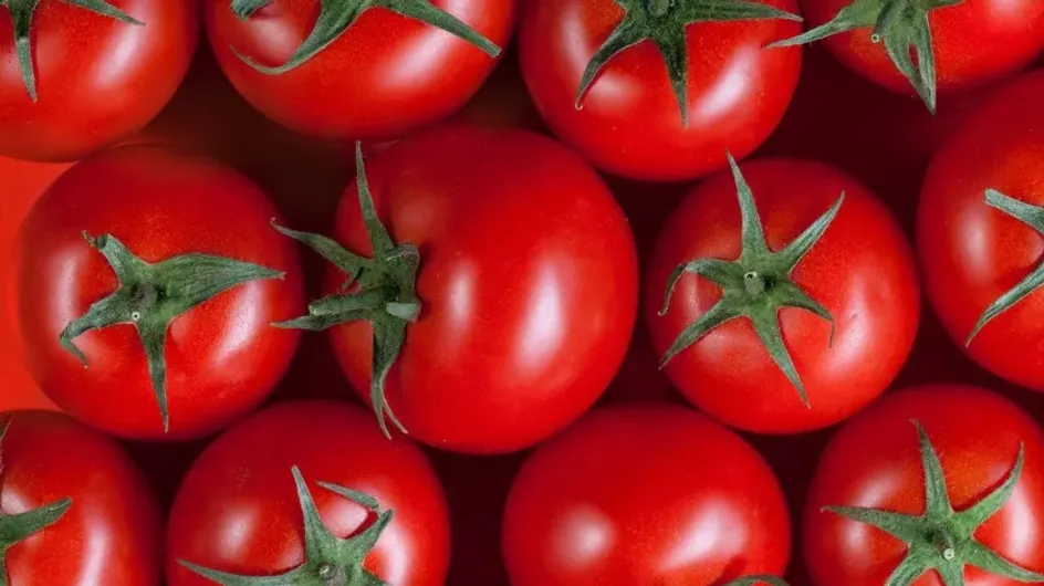 Стал известен способ хранения помидоров в холодильнике, чтобы они не потеряли вкус и аромат