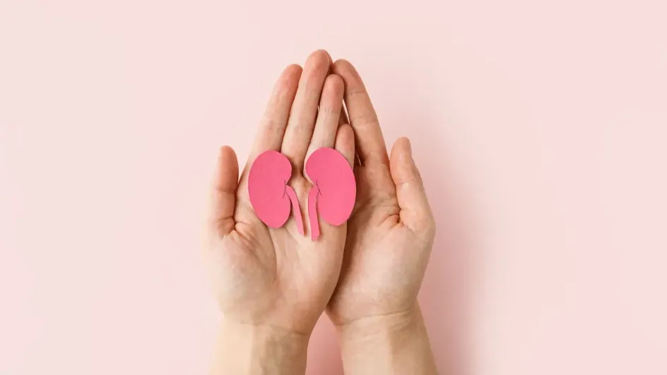 Названы анализы, с помощью которых можно выявить патологии почек