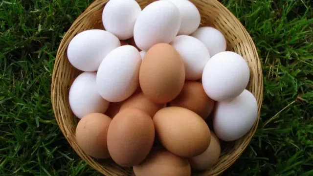 Росстат: яйца в РФ подешевели на 4% с начала года