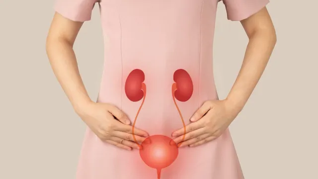 Врачи назвали диету для здоровья мочевого пузыря