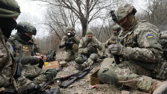 Военный эксперт Борзенко: кустарники и мелкие деревья не влияют на провал ВСУ