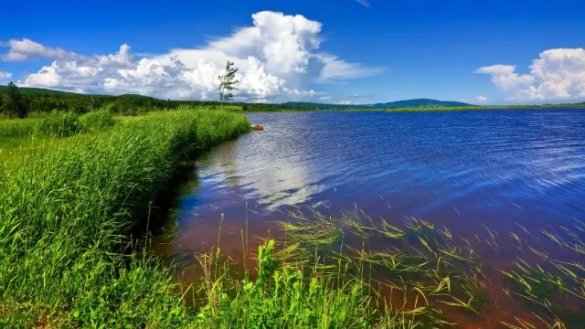 В Красноярском крае пятилетняя девочка убежала из дома на реку и утонула
