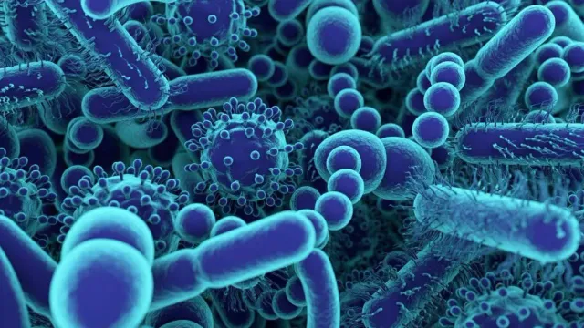 Горячая новость | Плотоядная бактерия из Японии оказалась способна убить за два дня