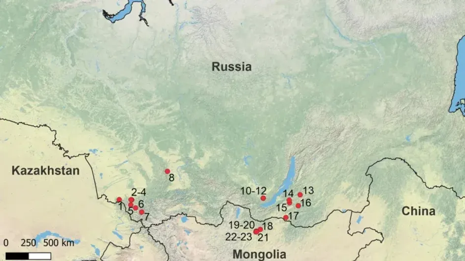 Scientific Reports: в Монголии нашли древнейшее изображение фаллоса возрастом 42 000 лет Scientific Reports: в Монголии нашли древнейшее изображение фаллоса возрастом 42 000 лет