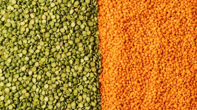 Ученые придумали, как продлить «молодость» иммунной системы
