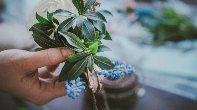 «Цветы-мужегоны»: эти растения отпугивают поклонников и разрушают личную жизнь