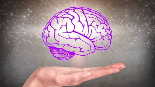 Исследование ученых из Human Brain Project дает представление об организации нейрорецепторов