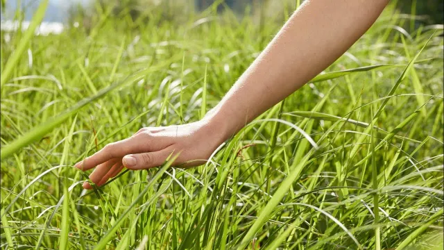 Названы предметы, которые могут снимать стресс при прикосновении