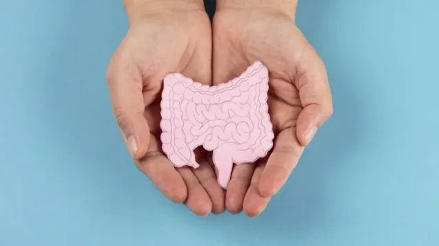 Россиян предупредили о возможности появления карманов в кишечнике с годами