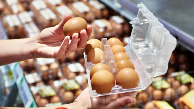 Горячая новость | Россиянам рассказали, как выбрать яйца для укрепления иммунитета осенью