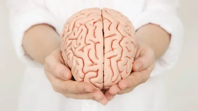 Россиянам объяснили, как мозг сам защищает себя от деменции