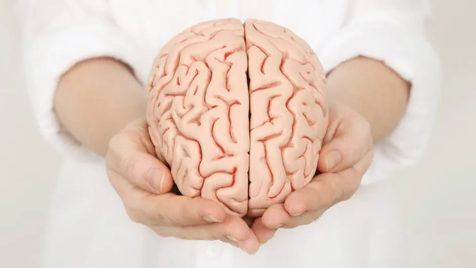 Россиянам объяснили, как мозг сам защищает себя от деменции Россиянам объяснили, как мозг сам защищает себя от деменции