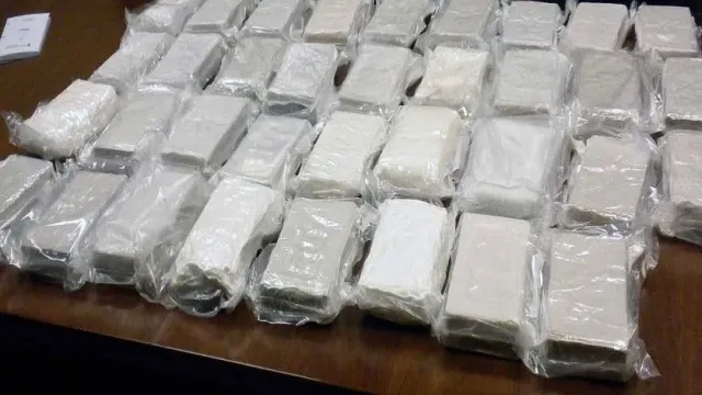 В Подмосковье задержаны три иностранца по делу о перевозке в ЕС 700 кг кокаина
