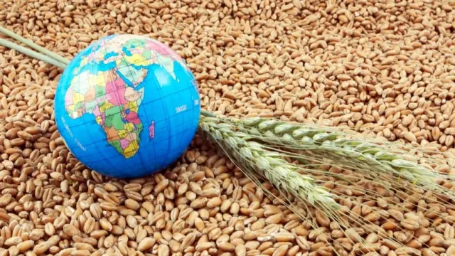 Министр Гетман призвал отправить осевшие в ЕС излишки украинского зерна Африке