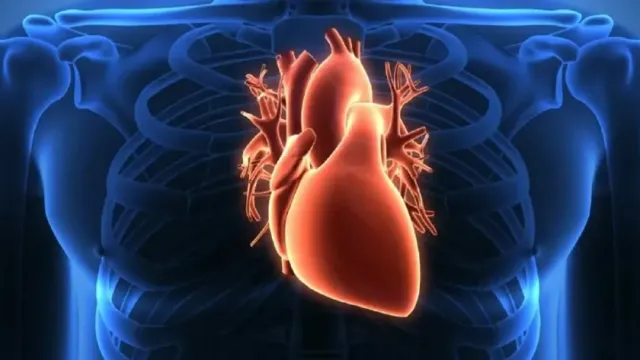 RG: Эндокринолог Павлова назвала опасный утренний симптом, требующий срочной проверки сердца