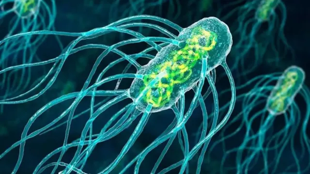 Горячая новость | Ученые выяснили, что в организме человека обитает неизвестная форма жизни