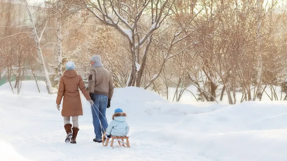Врач предупредила об опасности зимних прогулок для некоторых граждан Врач предупредила об опасности зимних прогулок для некоторых граждан