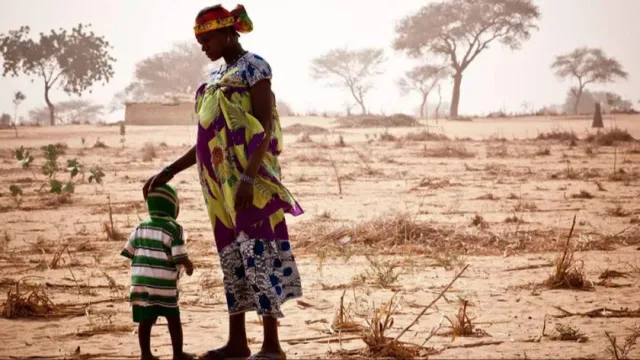 Bloomberg: Африка к 2080 году может обезлюдеть из-за глобальных изменений климата