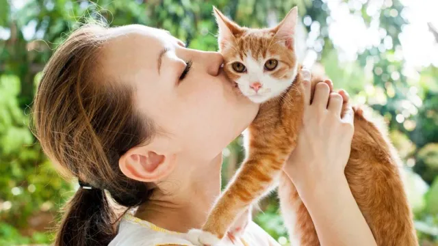 Горячая новость | Психолог рассказала, почему стоит завести кошку